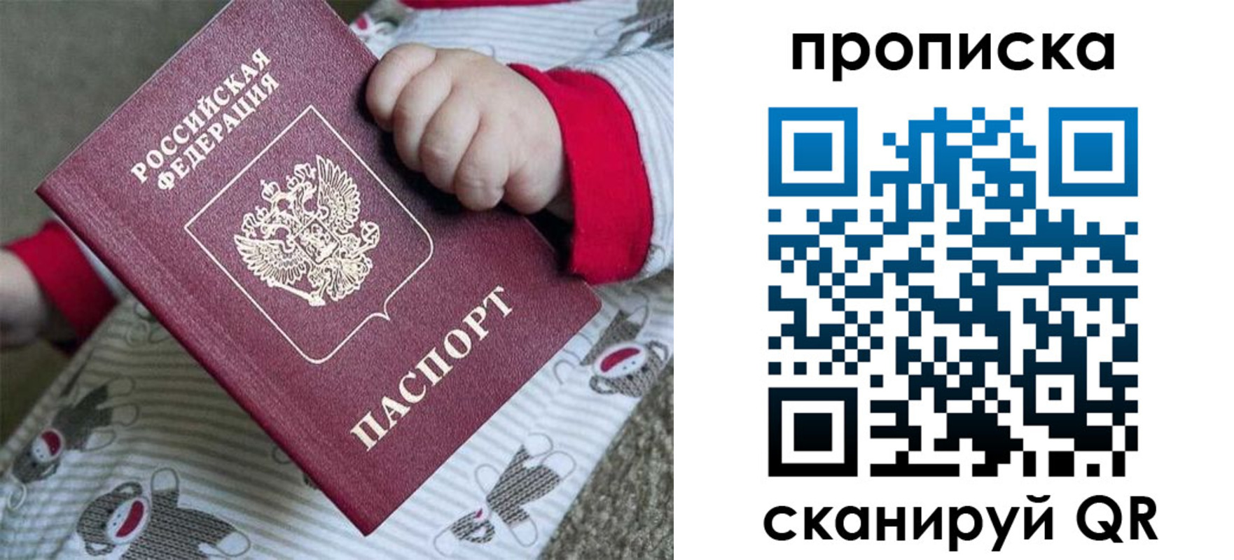 прописка 2025 в Кингисеппе