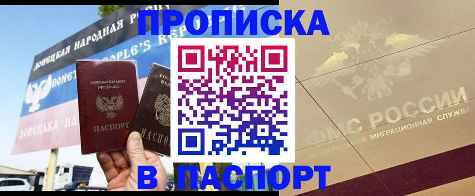 прописка поиск в Кингисеппе